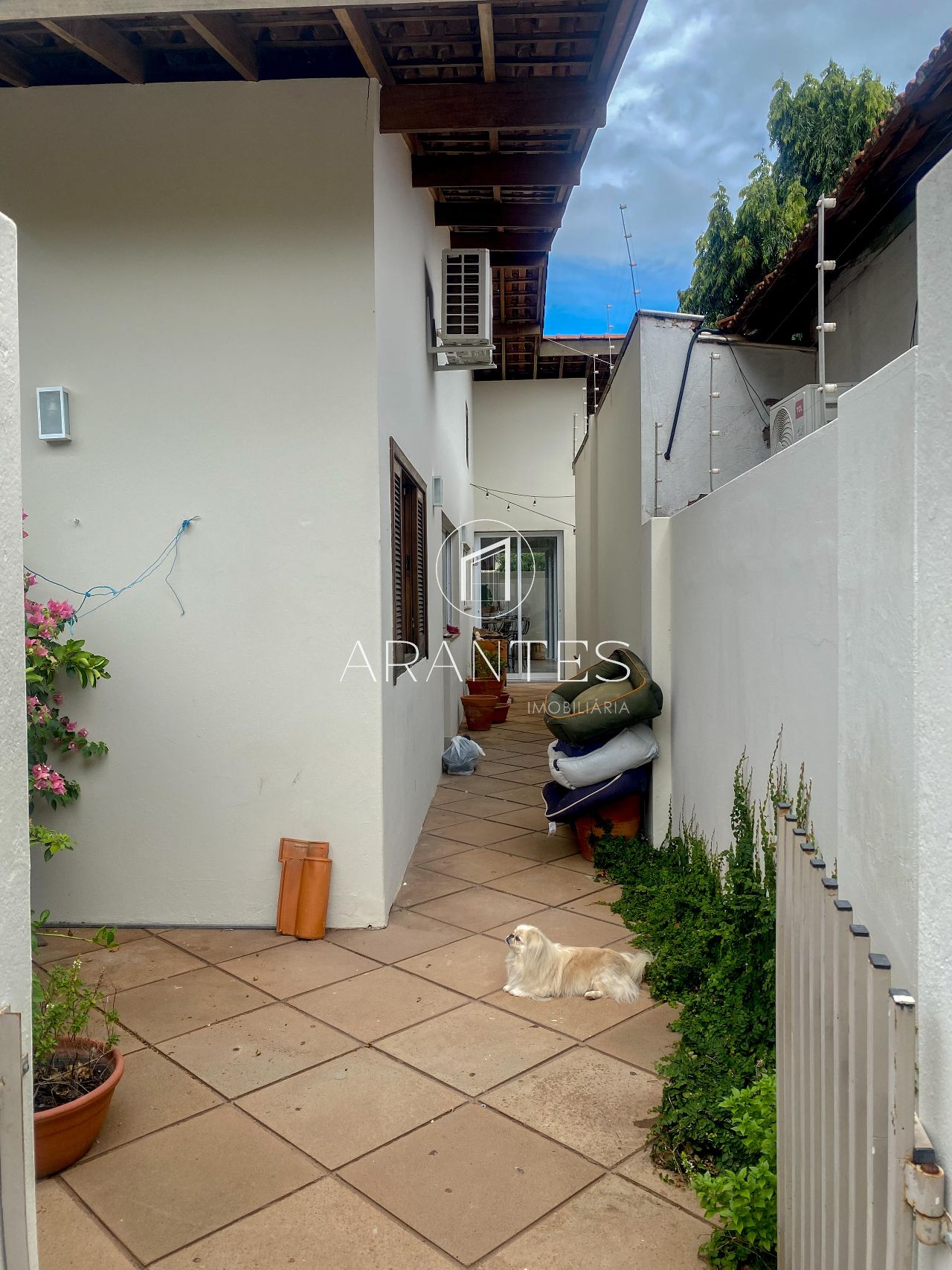 Foto de Casa para Venda ou Aluguel no Centro da Cidade  em Centro, Três Lagoas