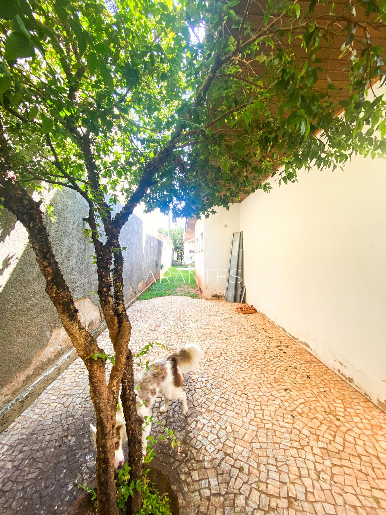 Foto de Casa à venda no Bairro Colinos  em Colinos , Três Lagoas