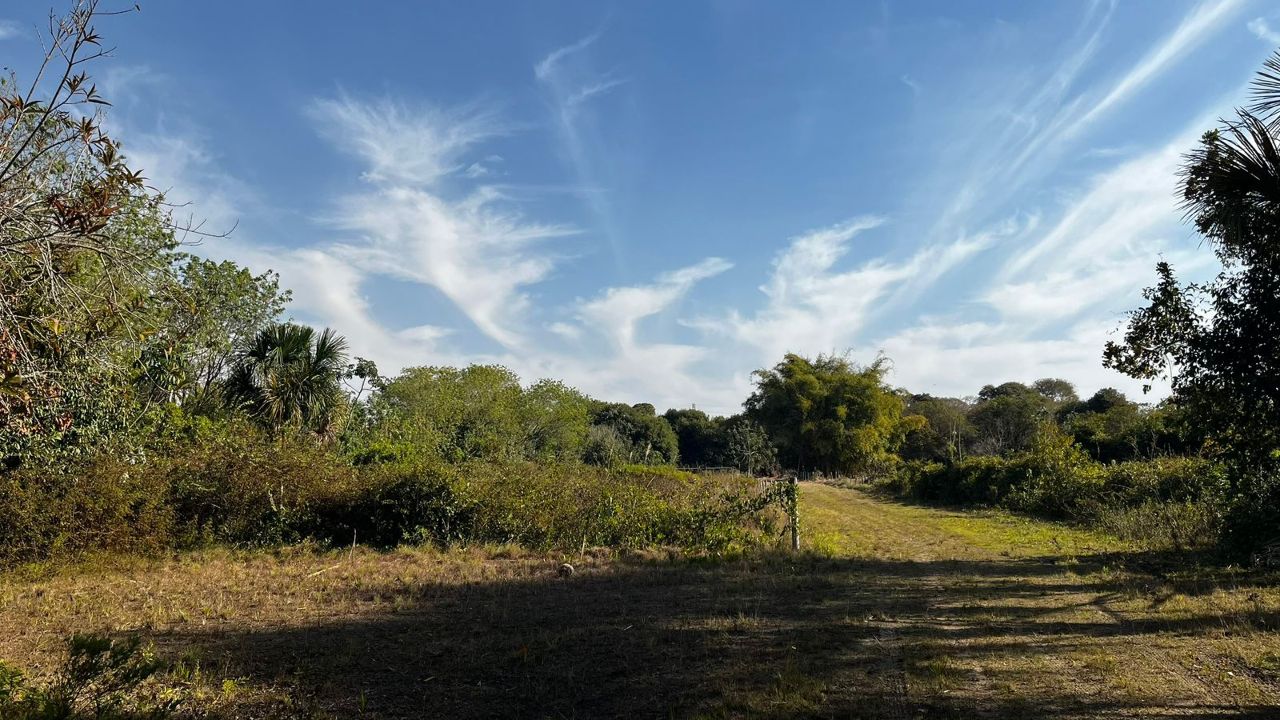 Foto de Rancho 20.000 m² – Margem do Rio Sucuriú – Região do Balneário Municipal em sucuriu, Três Lagoas