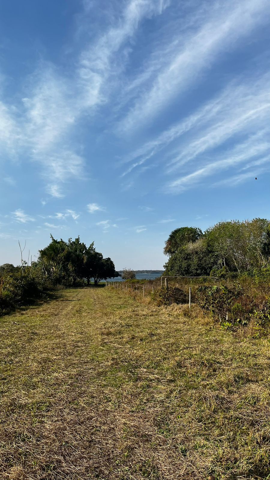 Foto de Rancho 20.000 m² – Margem do Rio Sucuriú – Região do Balneário Municipal em sucuriu, Três Lagoas