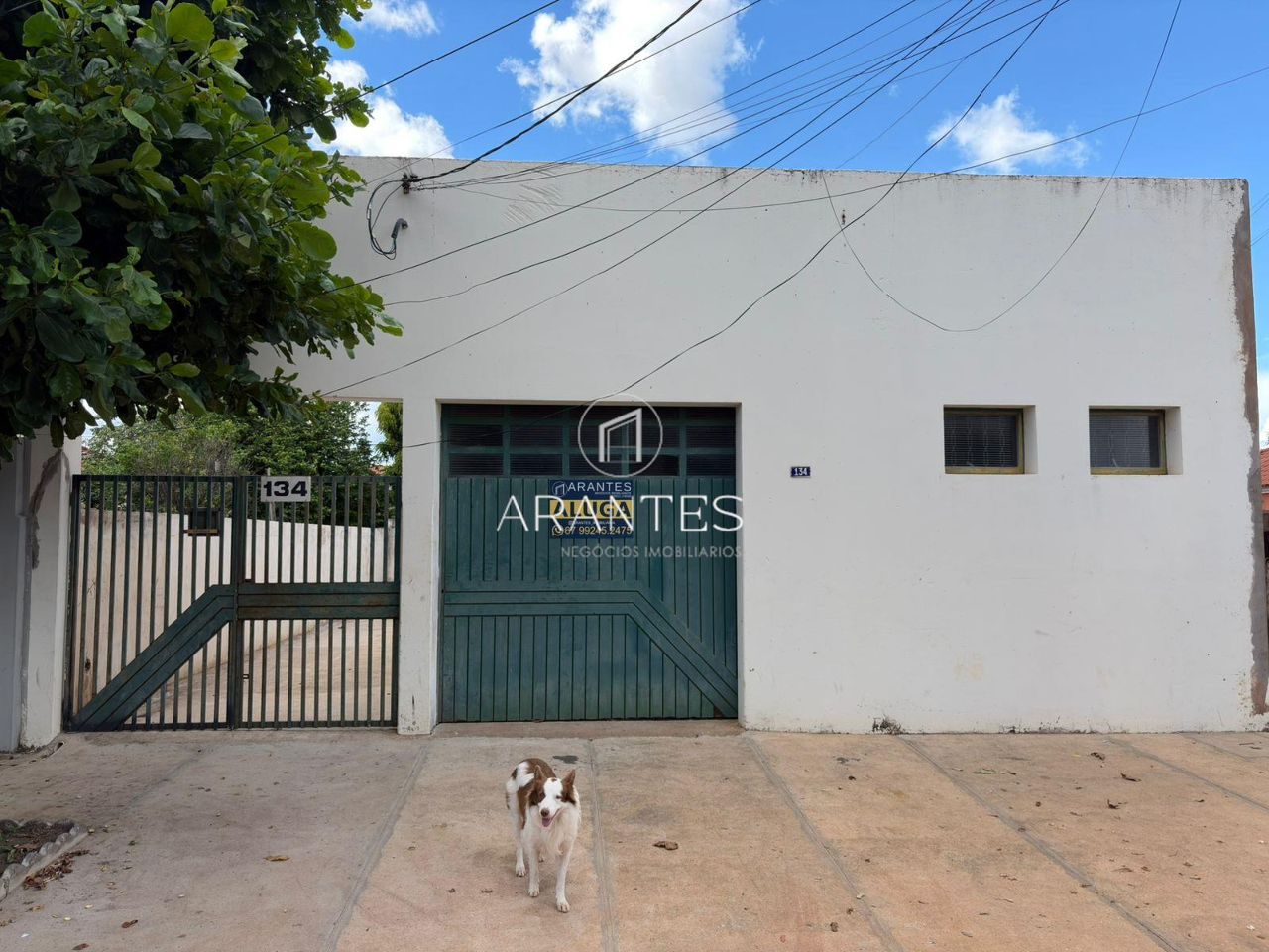 Foto de Barracão comercial para locação em excelente localização, próximo à Lagoa Maior. em Jardim Roriz , Três Lagoas