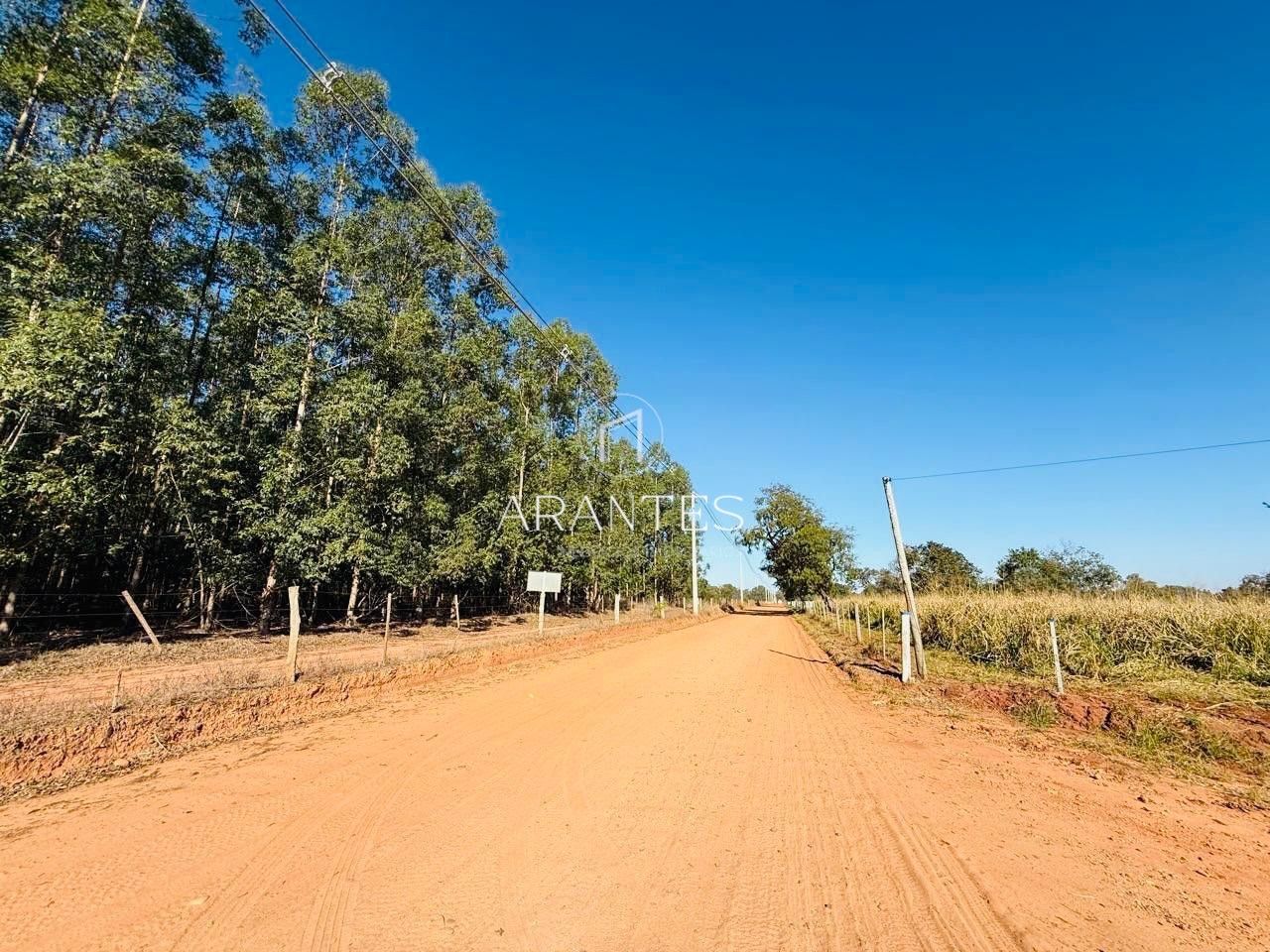 Foto de SÍTIO À VENDA  17 HECTARE A 25 KM DE TRÊS LAGOAS MS em TRES LAGOAS, Três Lagoas