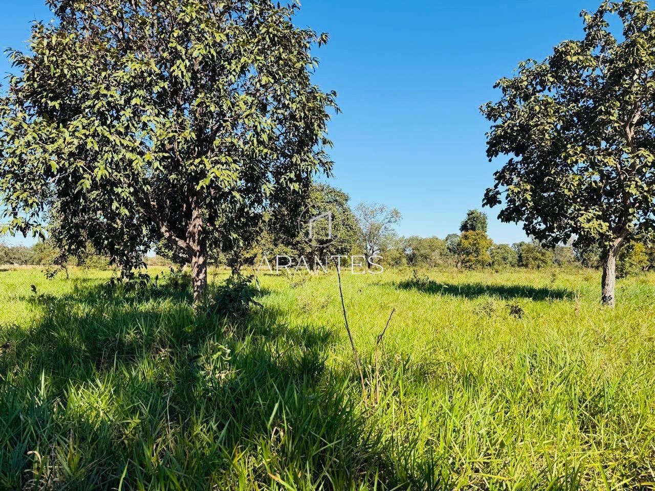 Foto de SÍTIO À VENDA  17 HECTARE A 25 KM DE TRÊS LAGOAS MS em TRES LAGOAS, Três Lagoas