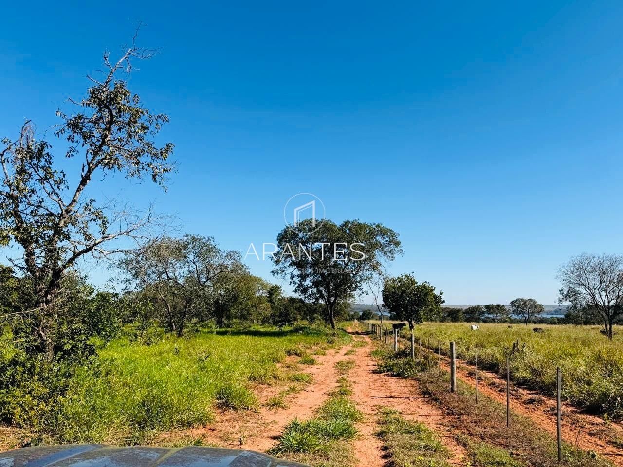 Foto de SÍTIO À VENDA  17 HECTARE A 25 KM DE TRÊS LAGOAS MS em TRES LAGOAS, Três Lagoas