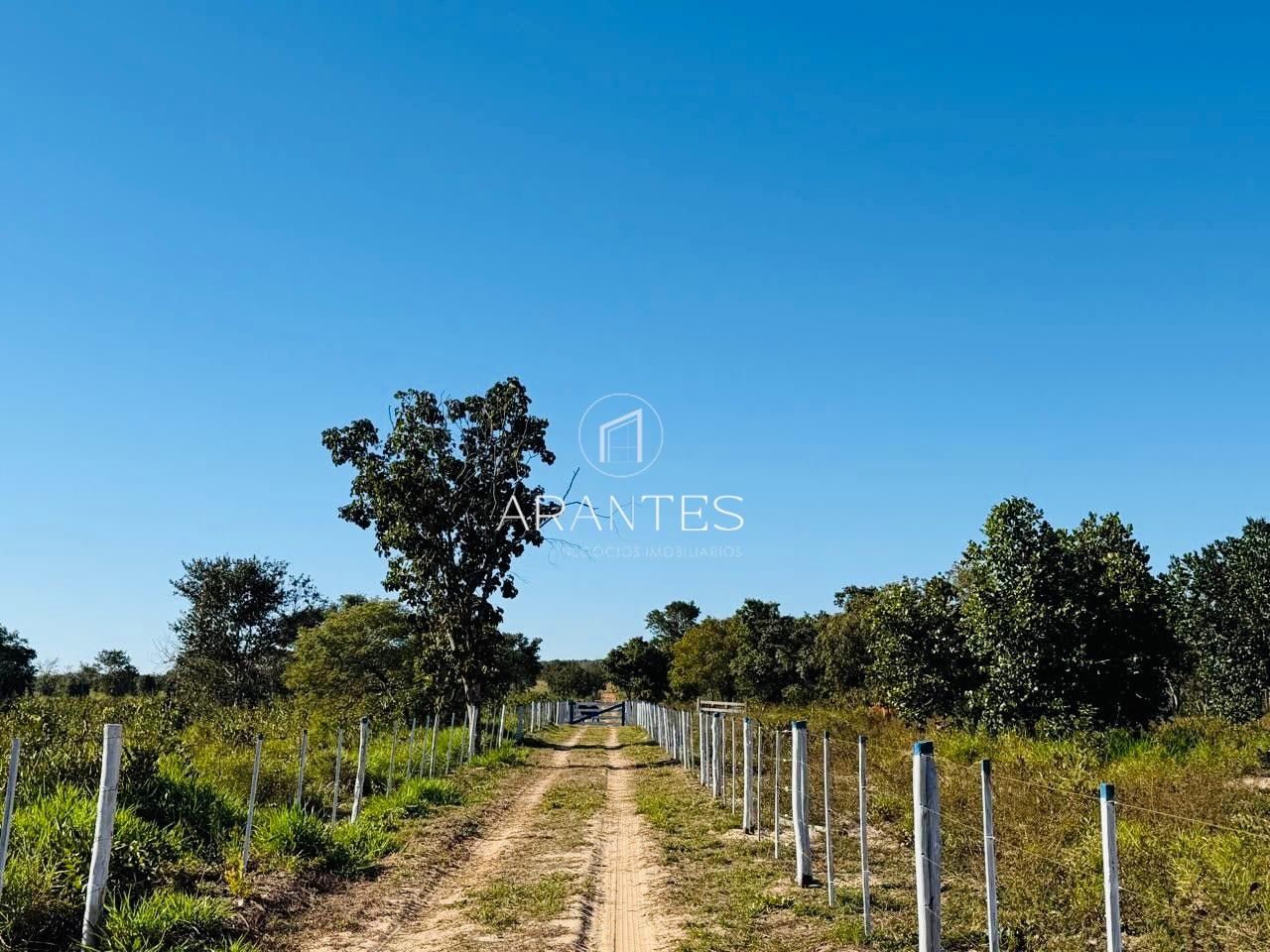 Foto de SÍTIO À VENDA  17 HECTARE A 25 KM DE TRÊS LAGOAS MS em TRES LAGOAS, Três Lagoas
