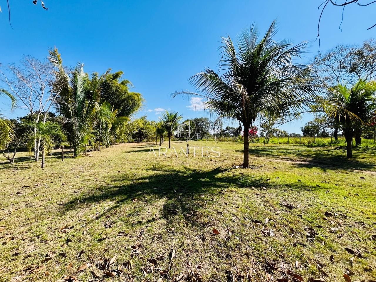 Foto de SÍTIO À VENDA  17 HECTARE A 25 KM DE TRÊS LAGOAS MS em TRES LAGOAS, Três Lagoas
