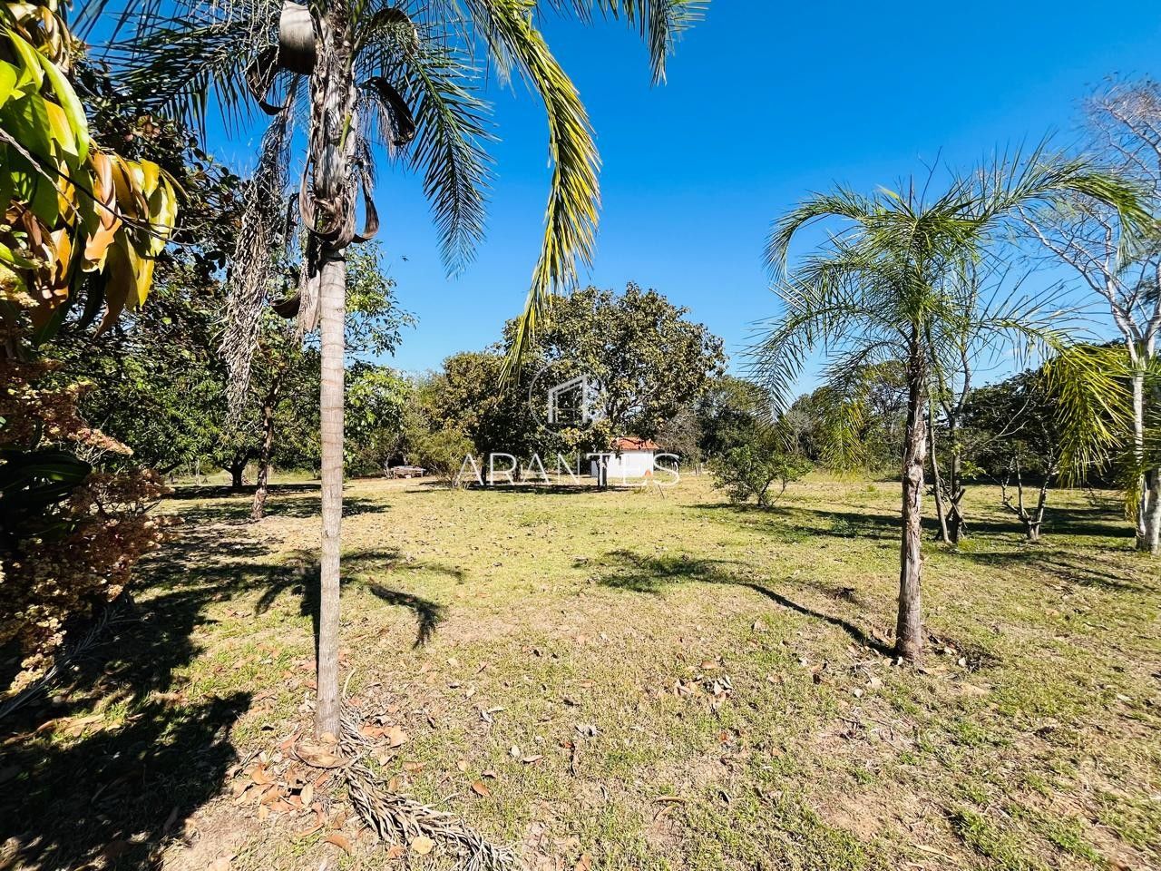 Foto de SÍTIO À VENDA  17 HECTARE A 25 KM DE TRÊS LAGOAS MS em TRES LAGOAS, Três Lagoas