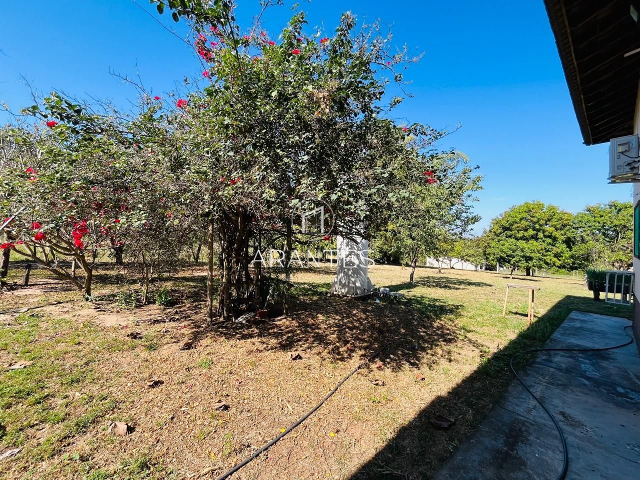 Foto de SÍTIO À VENDA  17 HECTARE A 25 KM DE TRÊS LAGOAS MS em TRES LAGOAS, Três Lagoas
