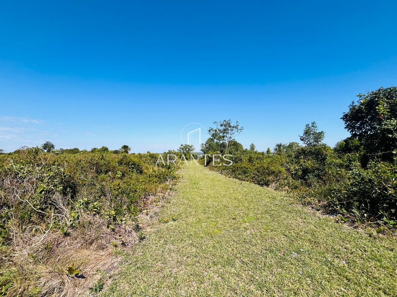 Foto de SÍTIO À VENDA  17 HECTARE A 25 KM DE TRÊS LAGOAS MS em TRES LAGOAS, Três Lagoas