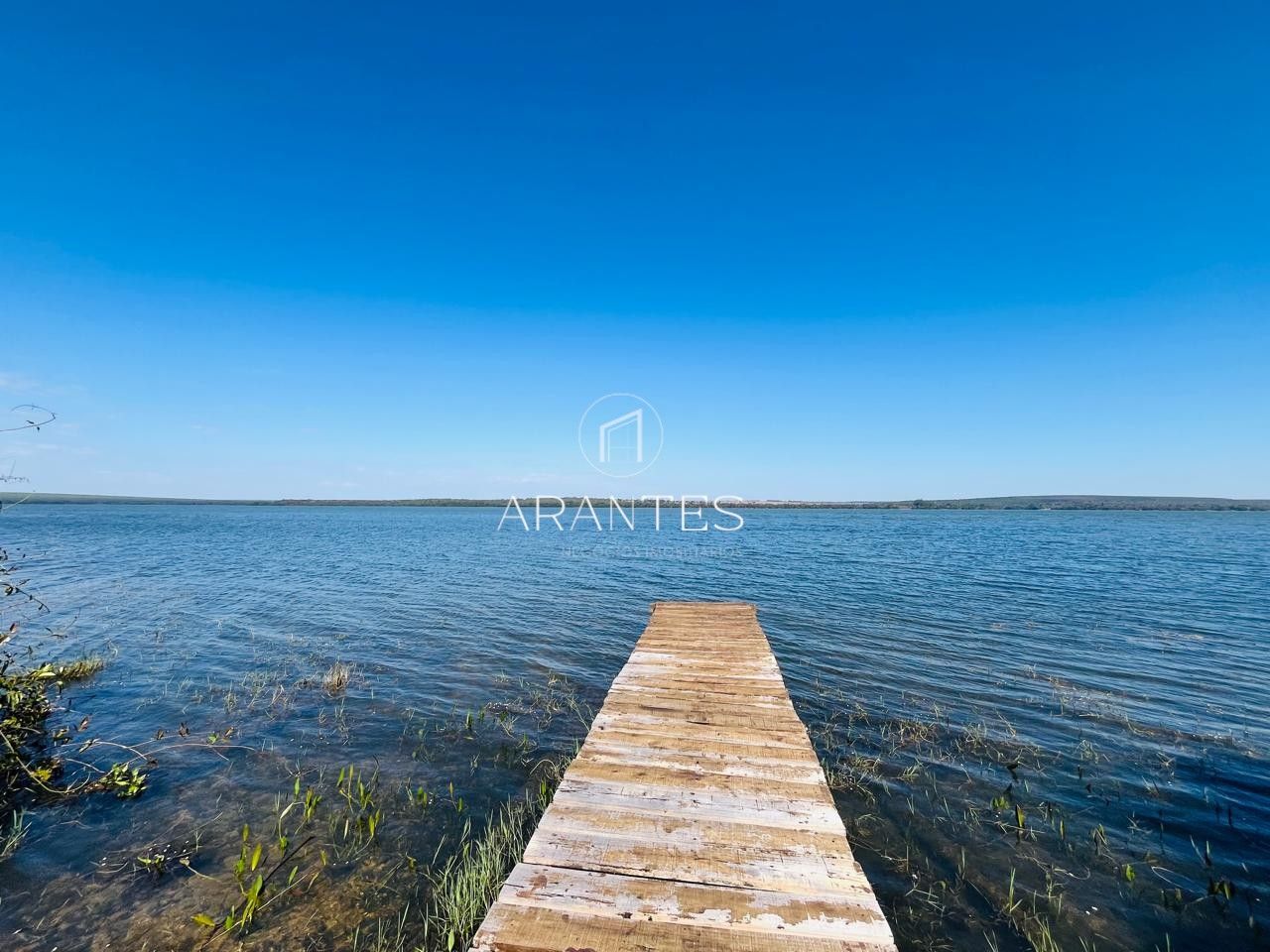 Foto de SÍTIO À VENDA  17 HECTARE A 25 KM DE TRÊS LAGOAS MS em TRES LAGOAS, Três Lagoas