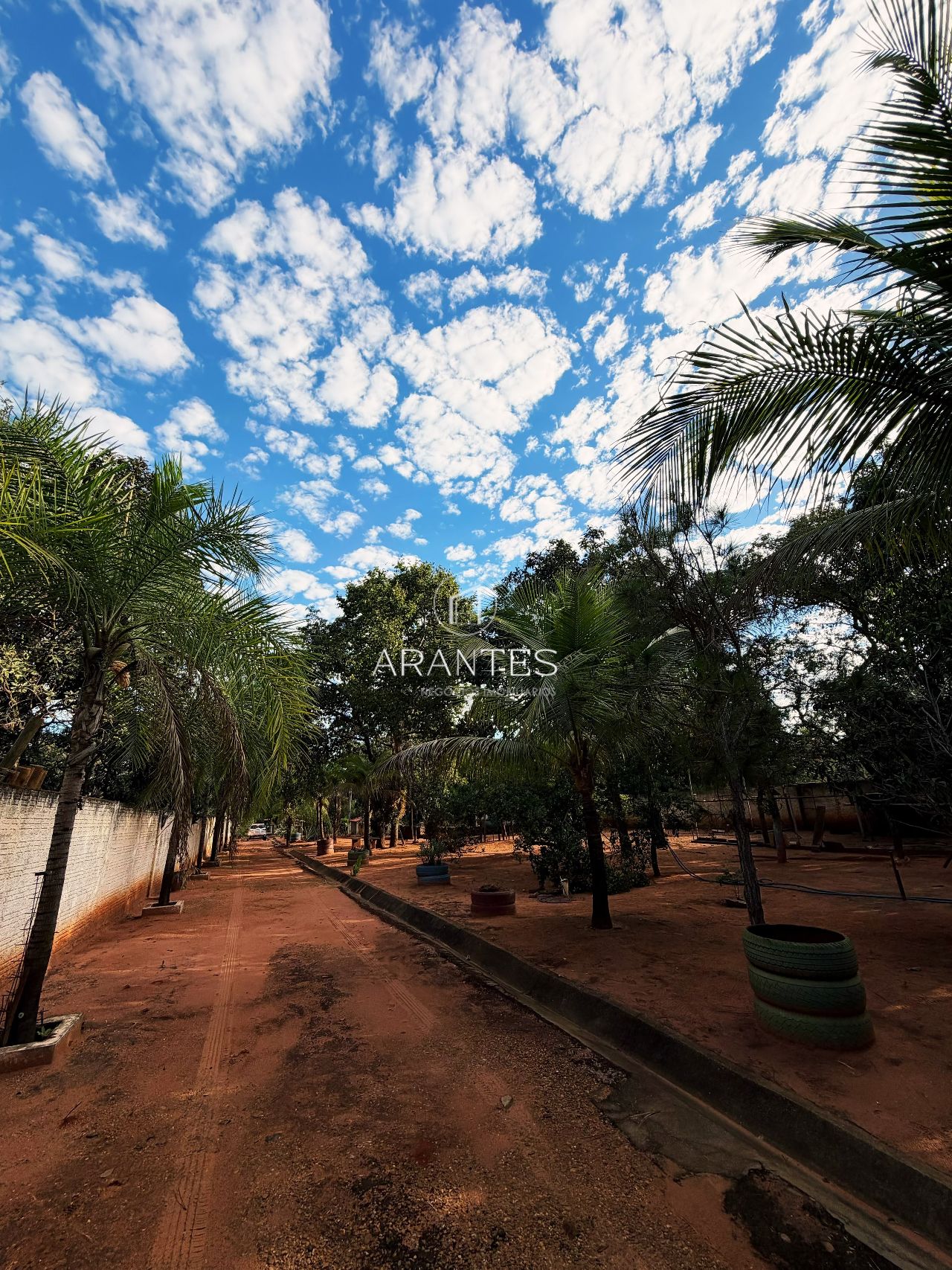 Foto de  Rancho à Venda — Porteira Fechada em Beira sucuriú , Três Lagoas