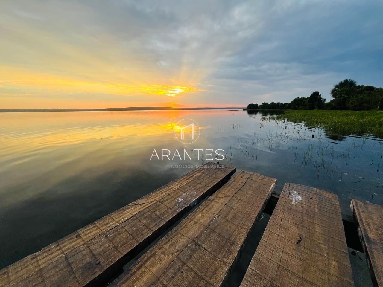Foto de SÍTIO À VENDA  17 HECTARE A 25 KM DE TRÊS LAGOAS MS em TRES LAGOAS, Três Lagoas