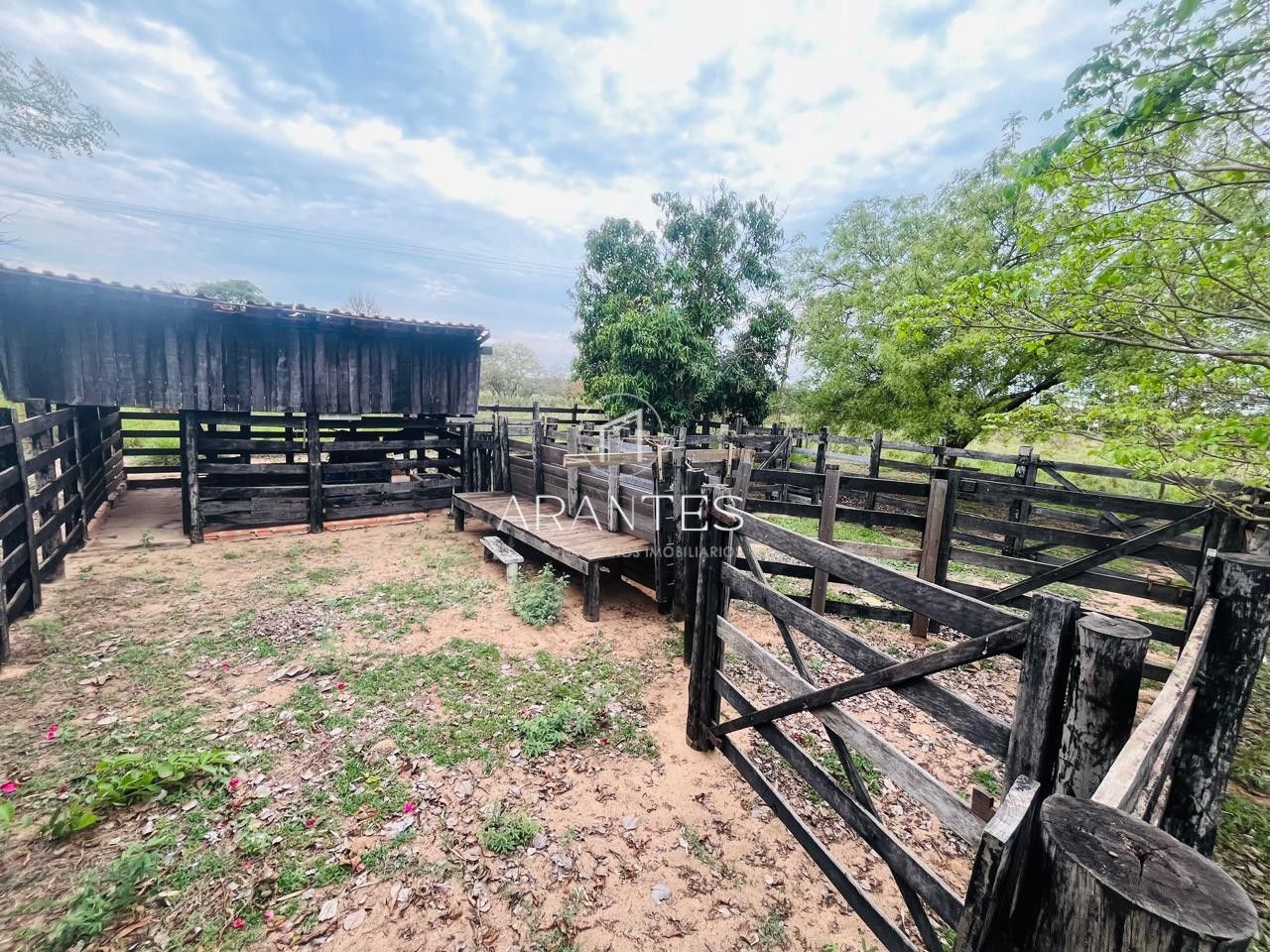 Foto de SÍTIO À VENDA  17 HECTARE A 25 KM DE TRÊS LAGOAS MS em TRES LAGOAS, Três Lagoas