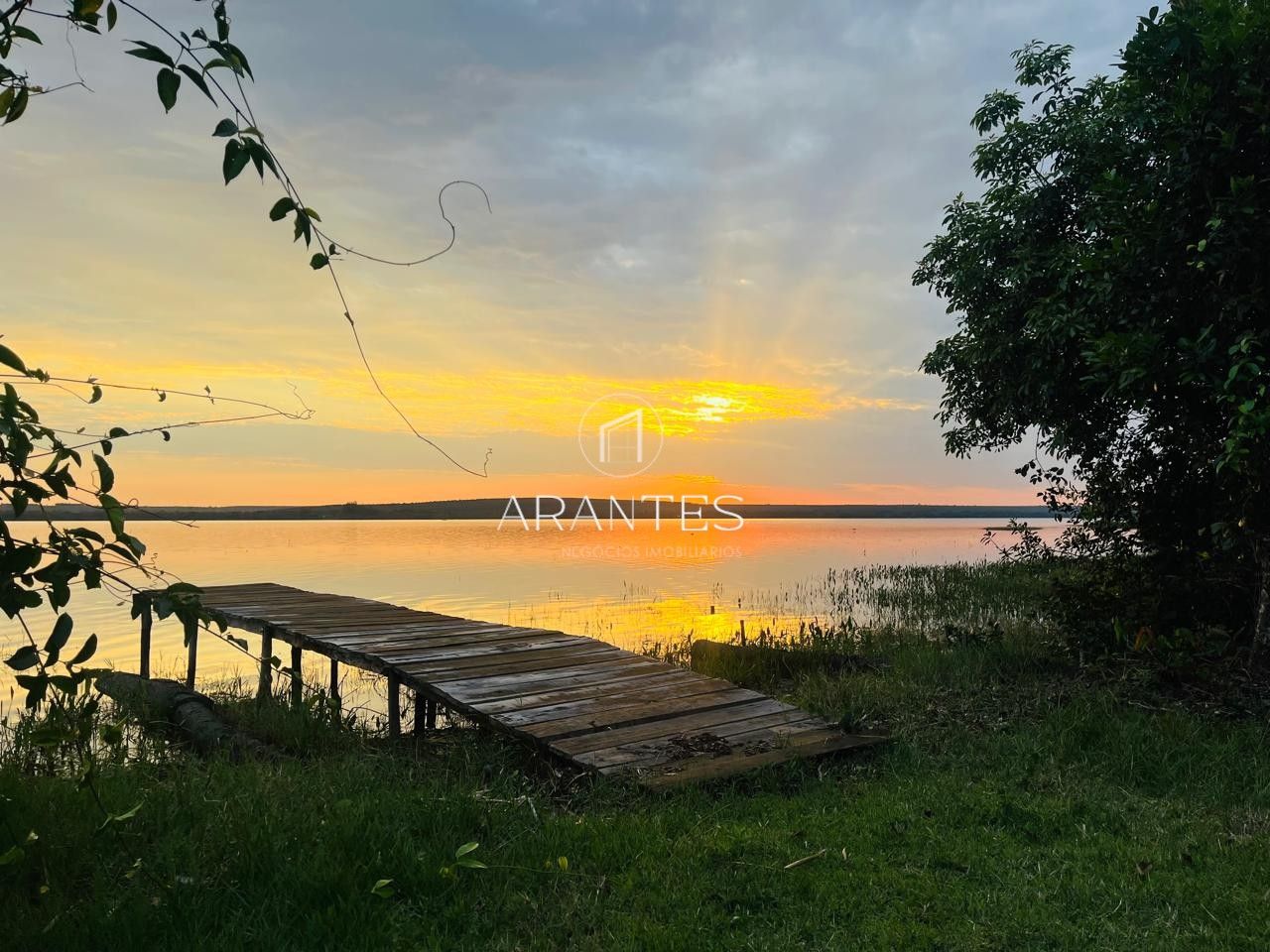 Foto de SÍTIO À VENDA  17 HECTARE A 25 KM DE TRÊS LAGOAS MS em TRES LAGOAS, Três Lagoas
