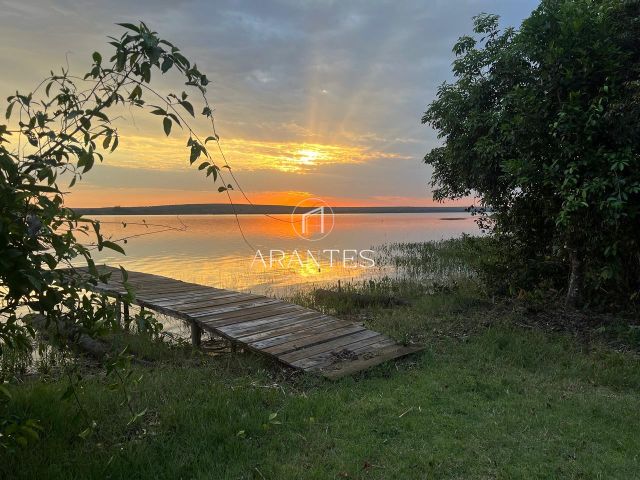 SÍTIO À VENDA  17 HECTARE A 25 KM DE TRÊS LAGOAS MS